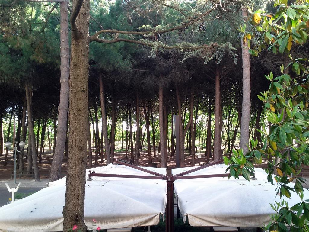 Hotel Antares Cervia Luaran gambar